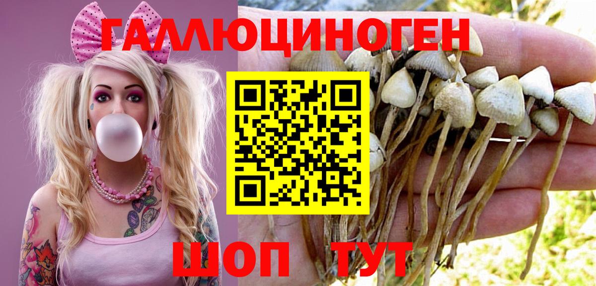 Псилоцибиновые грибы прущие грибы Тимашёвск
