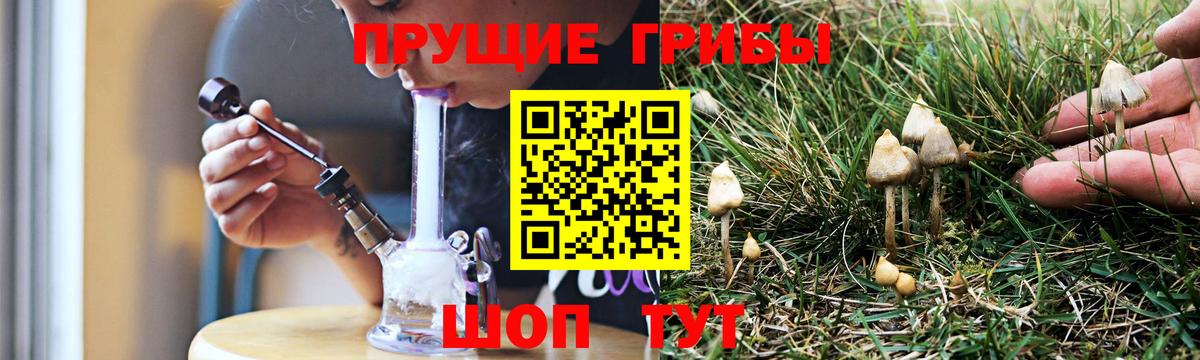 Галлюциногенные грибы GOLDEN TEACHER  Вход с VPN  Тимашёвск 
